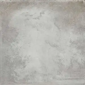 Reef White