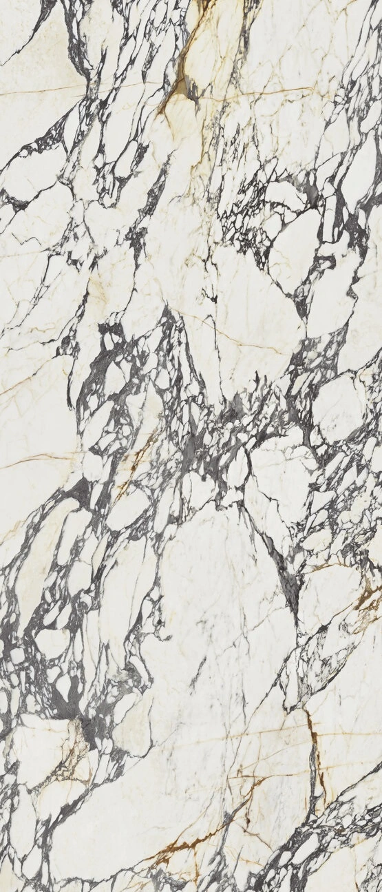 Calacatta Corchia Gold Pol Rect