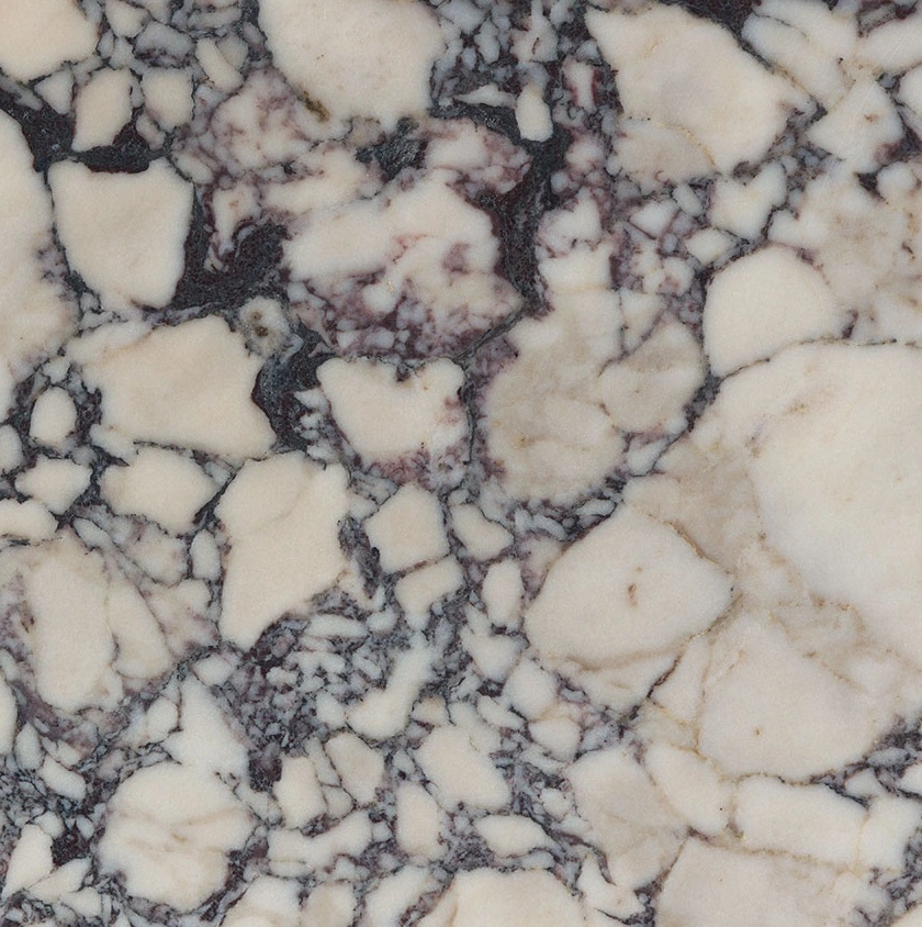 Calacatta Picasso Honed Marble Tile
