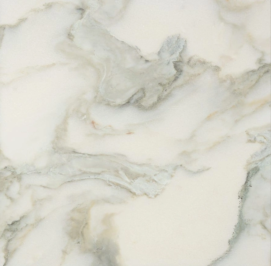 Calacatta Renaissance Honed Marble Tile