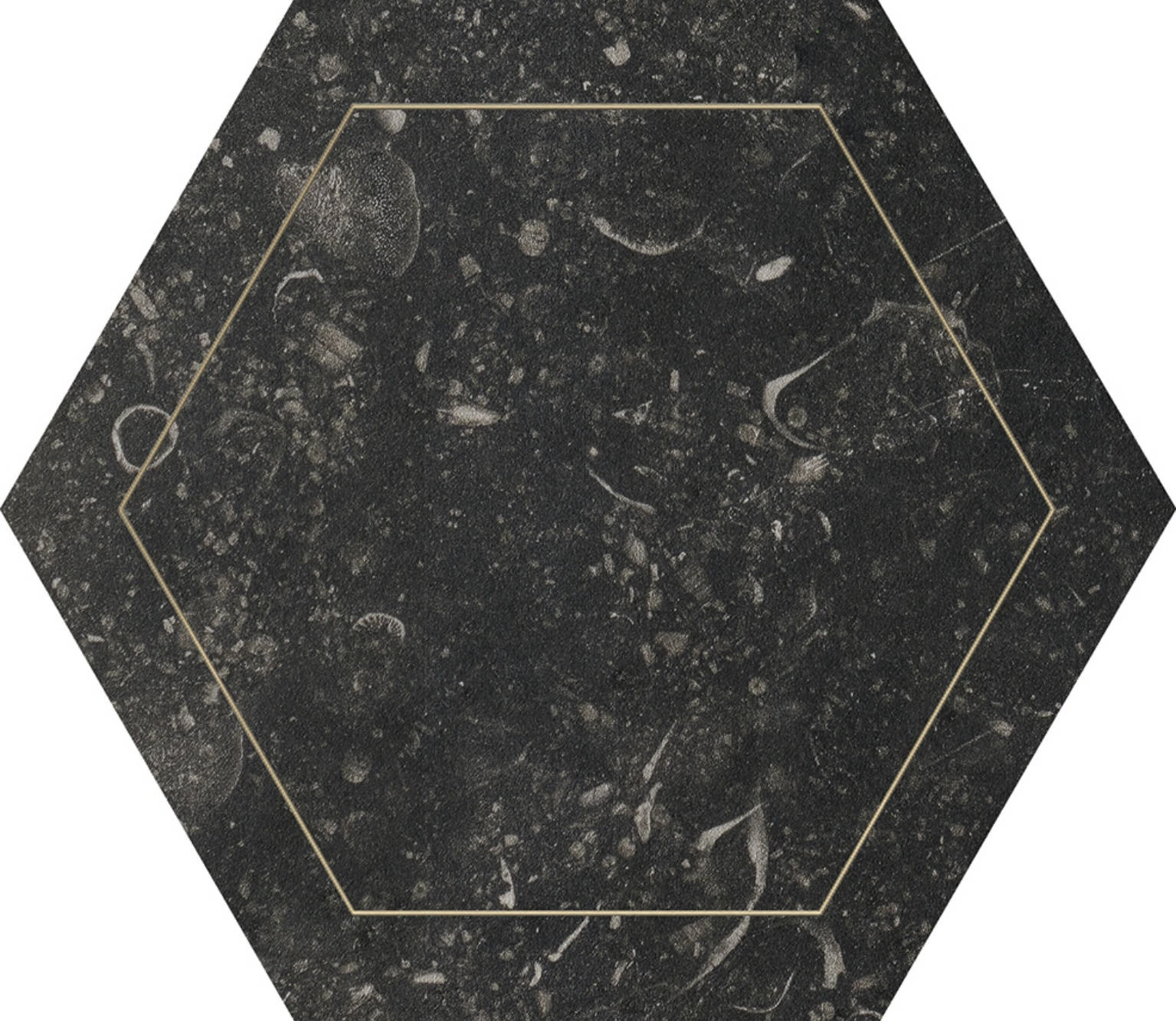 Black Hex w/ Gold Accent