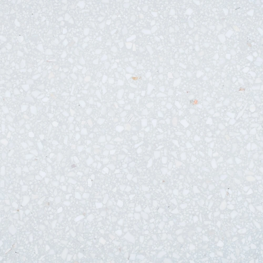 Arctic Polished Terrazzo Tile