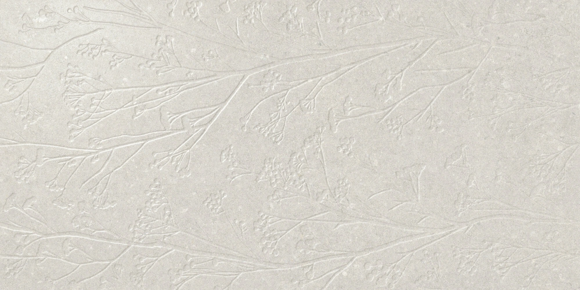 Divine White