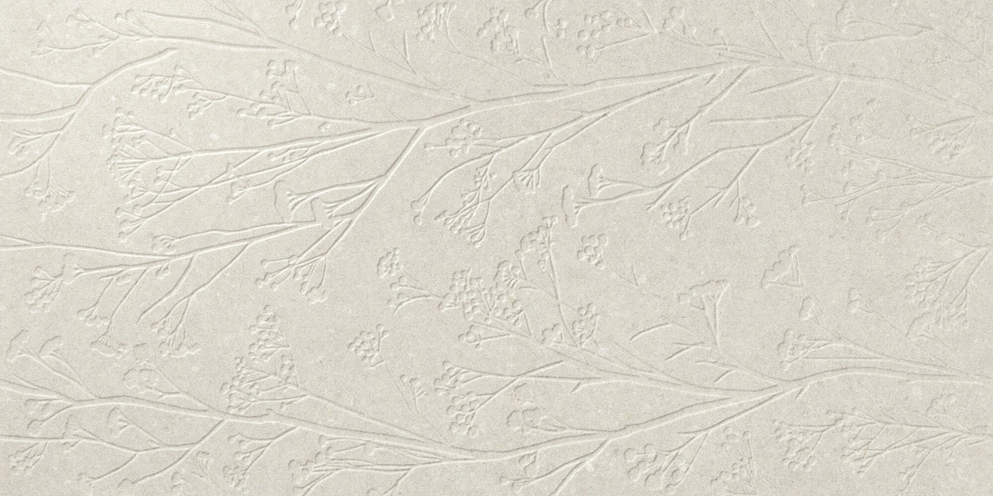 Divine Beige