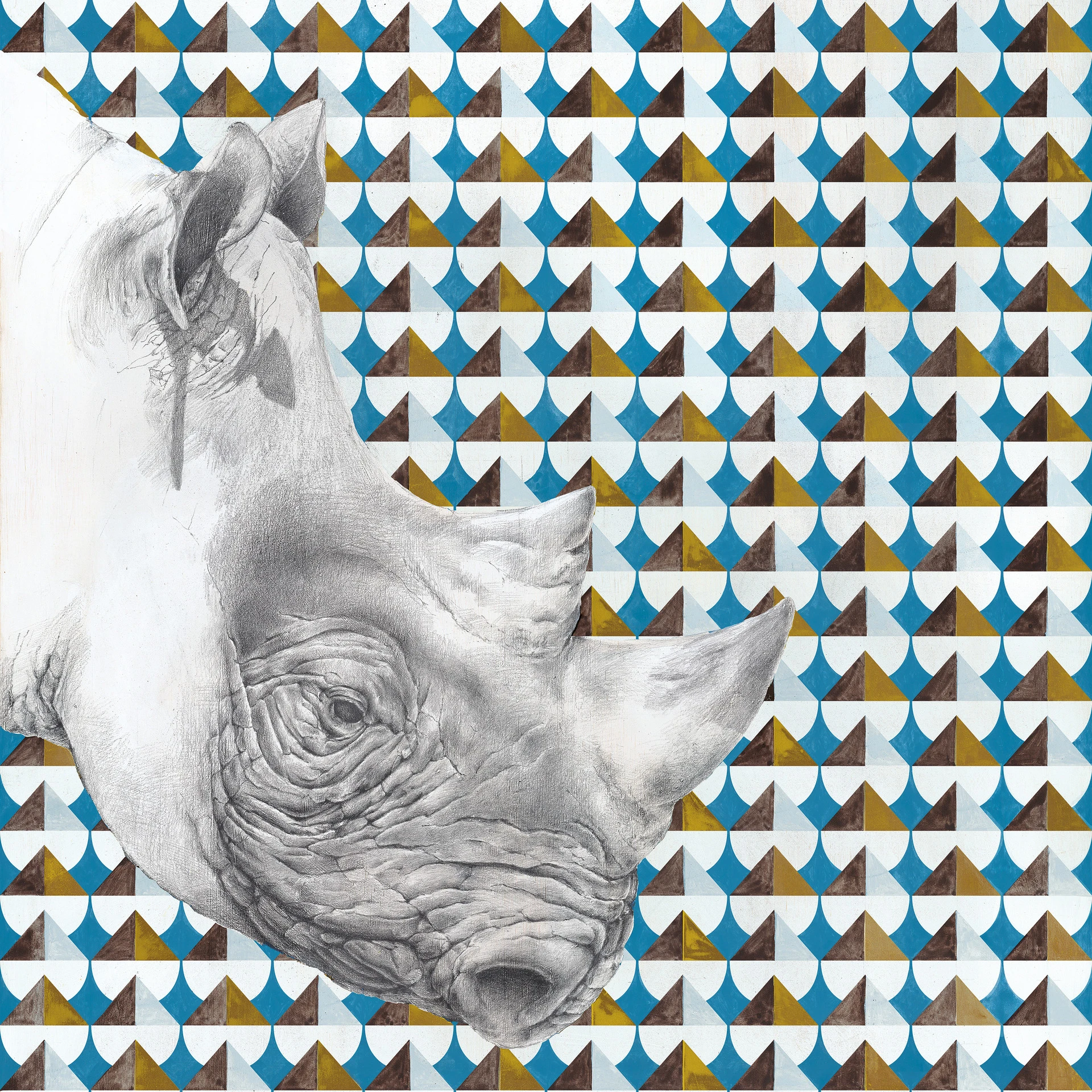 Indomita Rhino