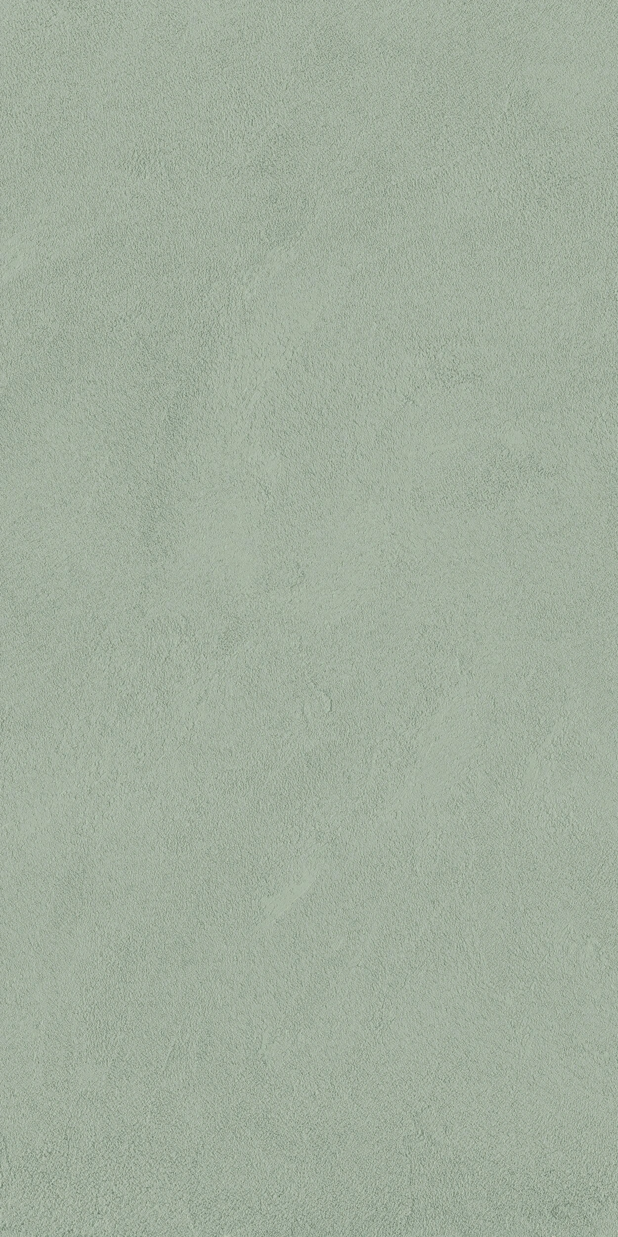 Iro Agave