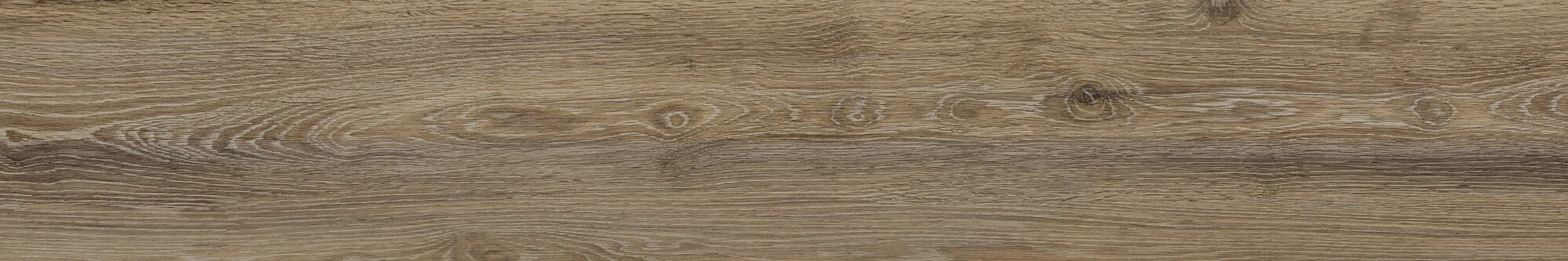 Manitoba Walnut