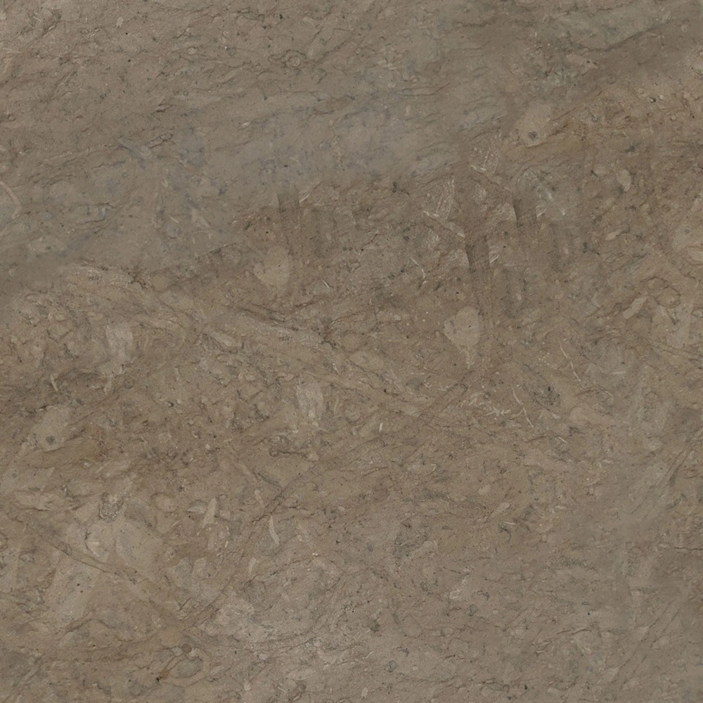 Britannia Dark Honed Limestone Tile