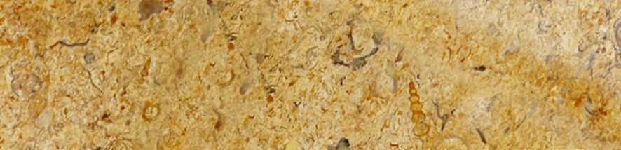 Verona Gold Honed Subway Limestone Tile