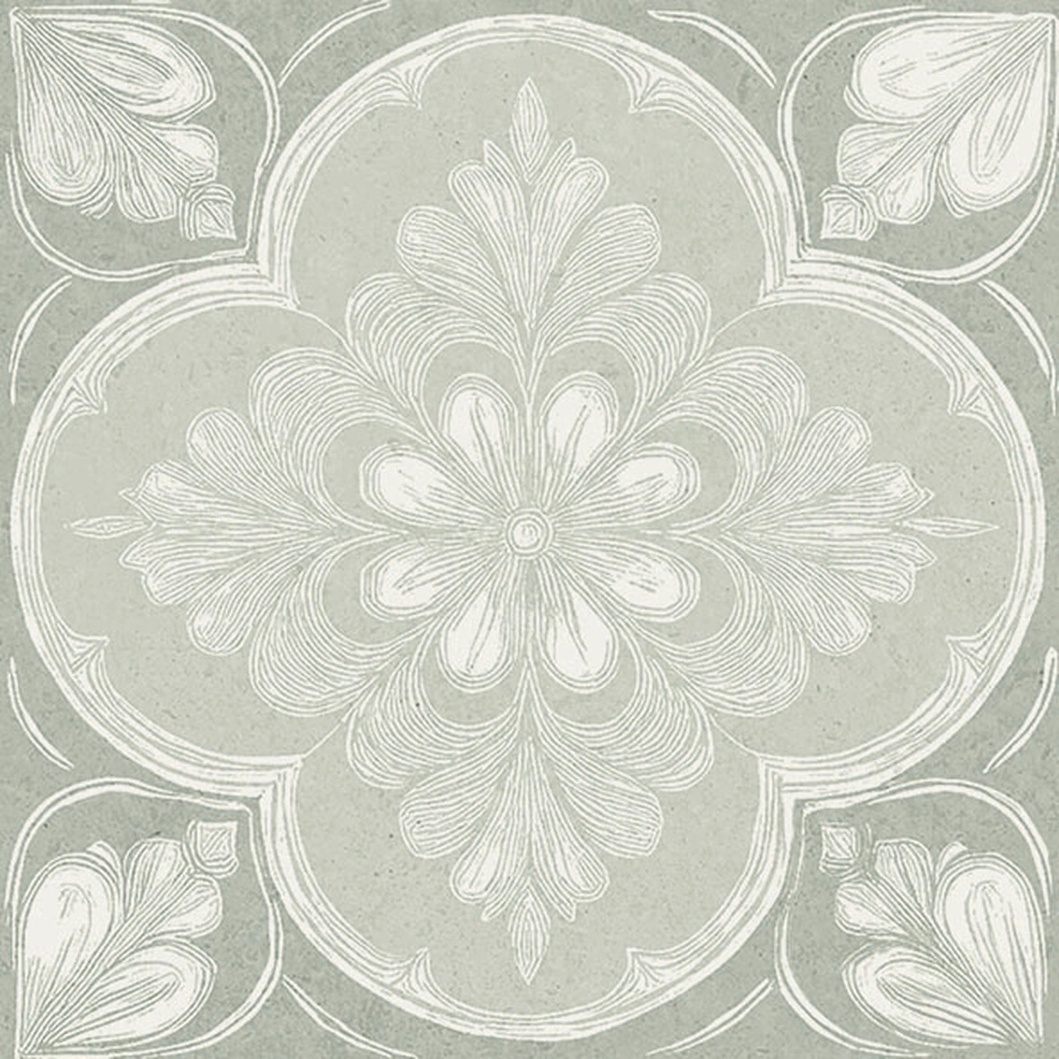 Siena Aqua