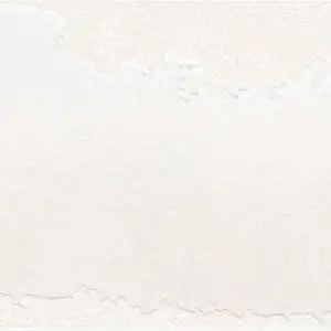 White White