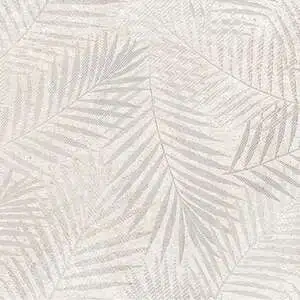 Bone Decor Bone Decor
