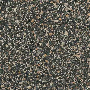 Multicolor Black