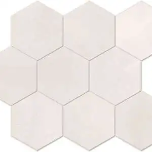 VENUS HEXAGON