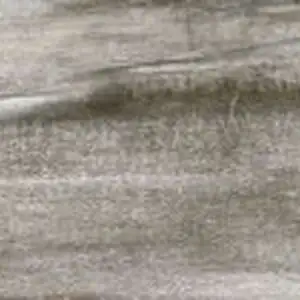Fossil