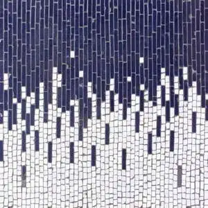 Perseid ndigo and Oleander