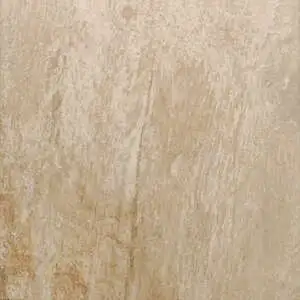 Beige Multicolor