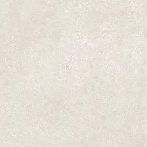 Bone