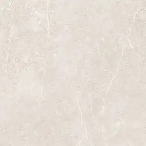 Bone