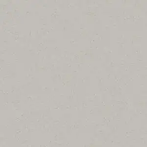 Secret Grey