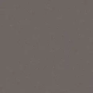 Solid Grey