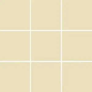 Biscuit Yellow