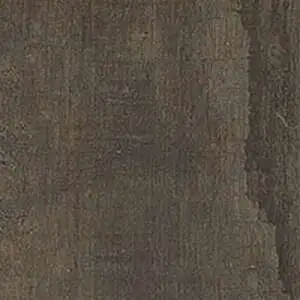 COCOA