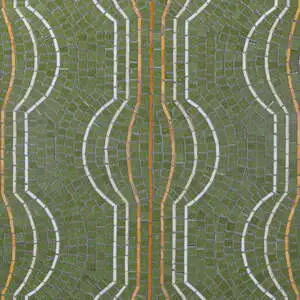 Cacti | Fern