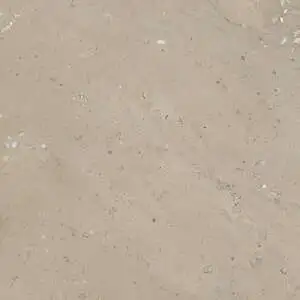 Warm Shellstone