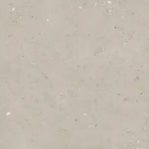 Cool Shellstone