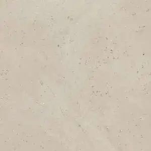 Light Shellstone