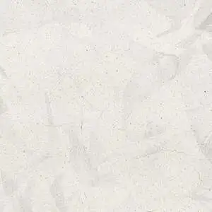 White Grey Jungle