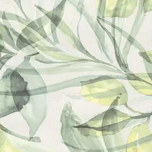 Wild Jungle Grey