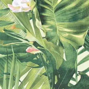 Tropical