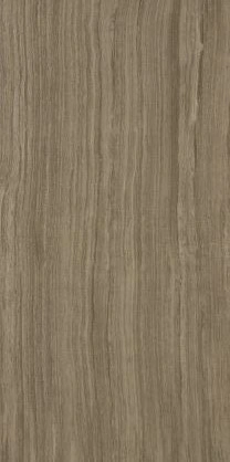 Dark Beige Dark Beige