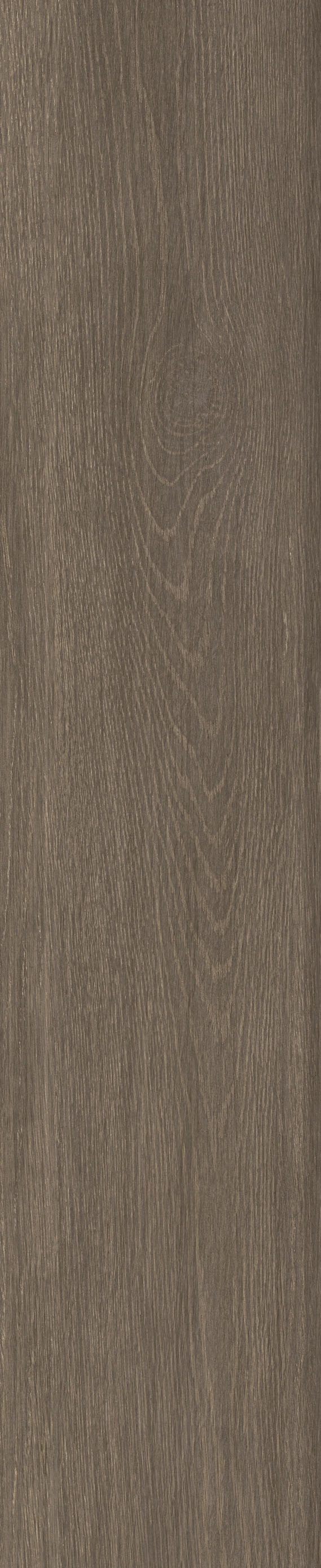 CHESTNUT