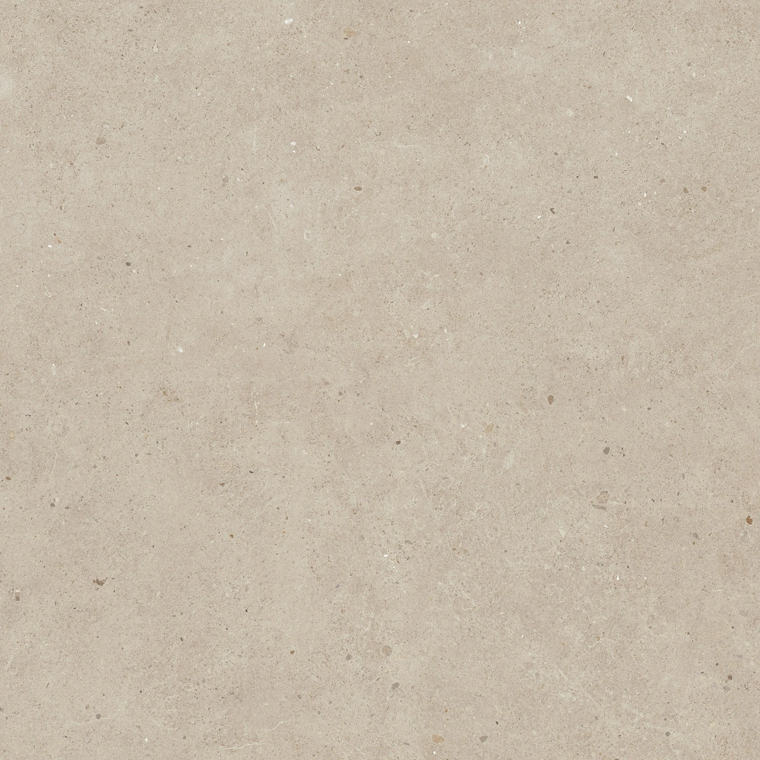 Warm Concrete