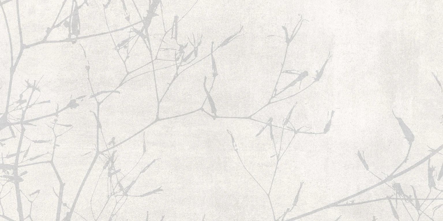 Light Grey Decor