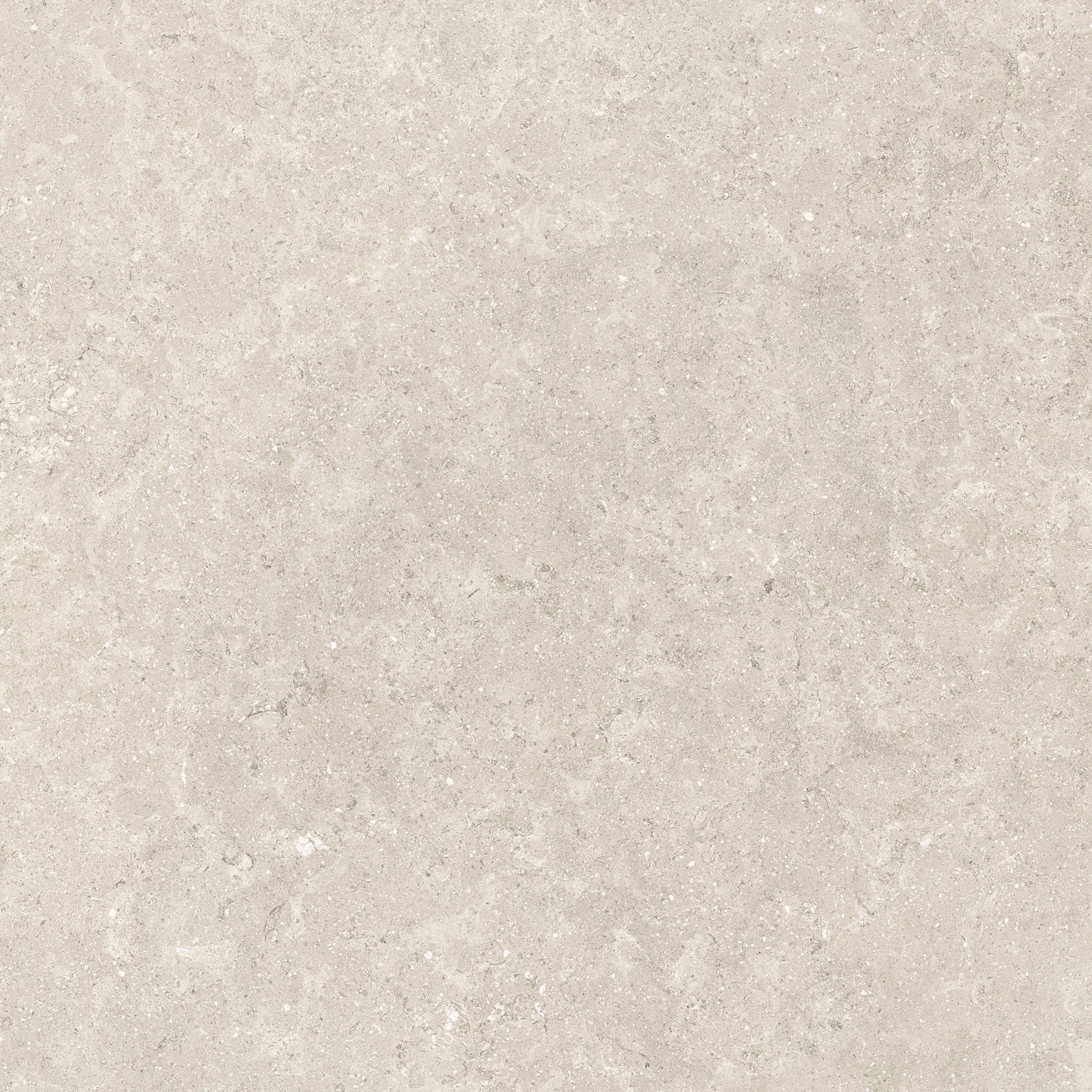 White Grey