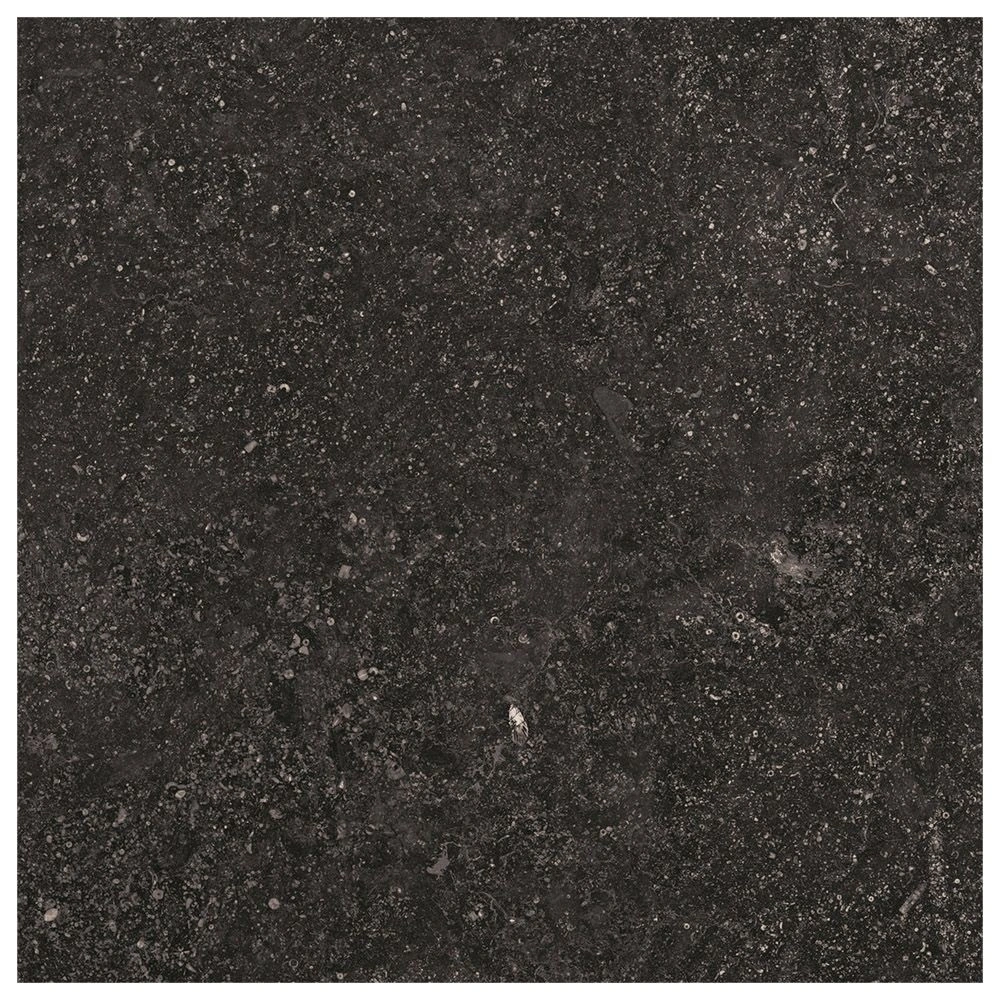 Beljn 24x24 Black Iron Unpolished Limestone Look Porcelain Tile