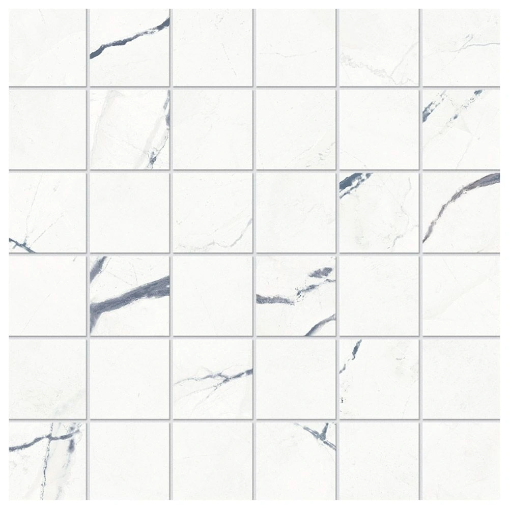 BEYOND CALCATTA 2x2 OCEAN WHITE MOSAIC