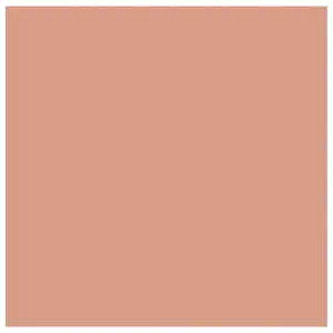 Coral Matte Full Body Porcelain Tile