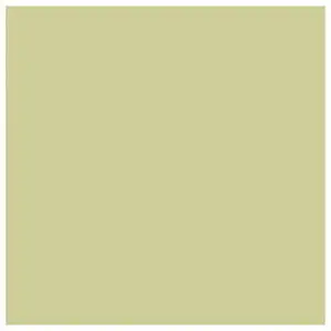 Pistachio Matte Full Body Porcelain Tile