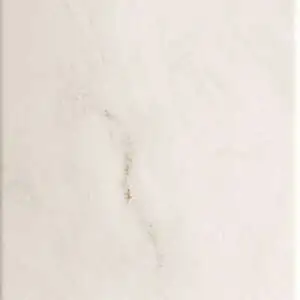 Bone