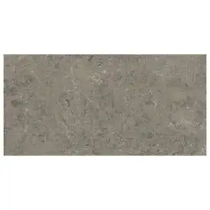 Grigio Elegant Matte Marble Look Porelain Tile