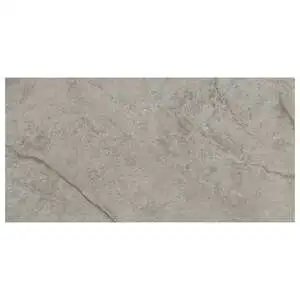 Silver Majestic Matte Marble Look Porelain Tile