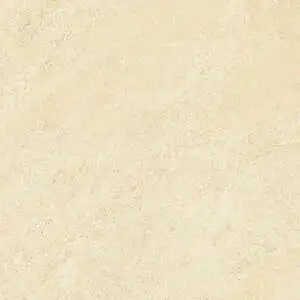 Starline — 24x48 Conrad Ivory
