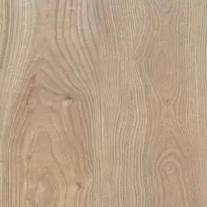 Wood Look Porcelain Paver — Olmo