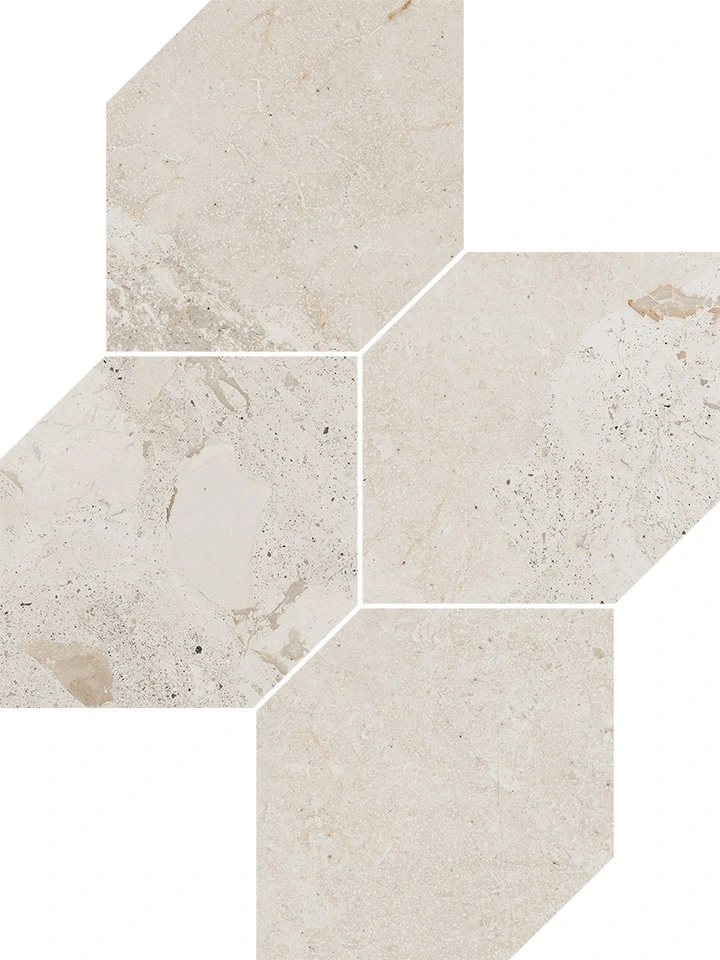 Ivory Concept