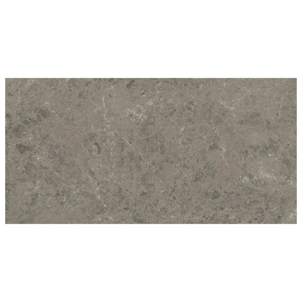 Grigio Elegant Matte Marble Look Porelain Tile